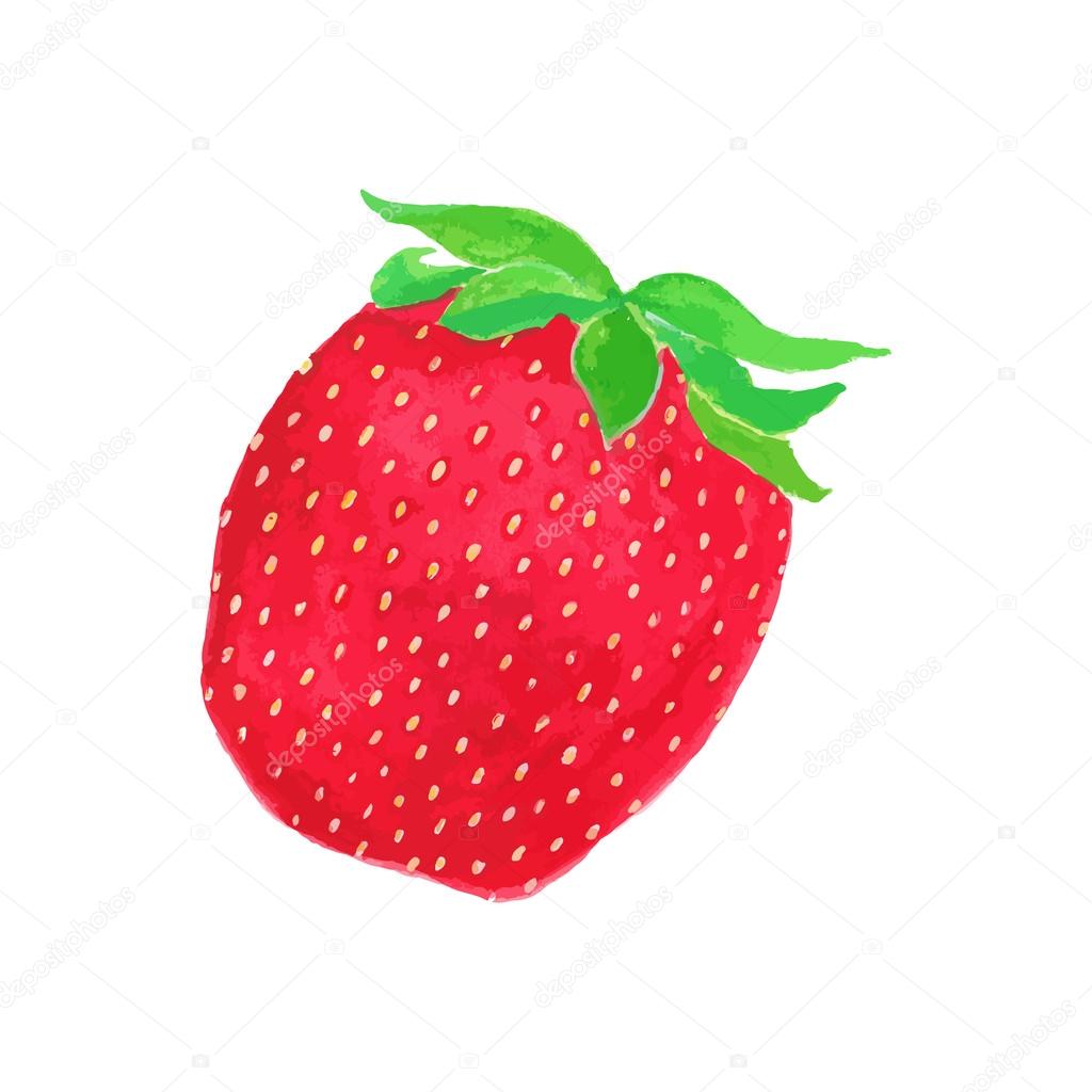 Strawberry. Hand-drawn berry. Real watercolor drawing. Vector illustration.