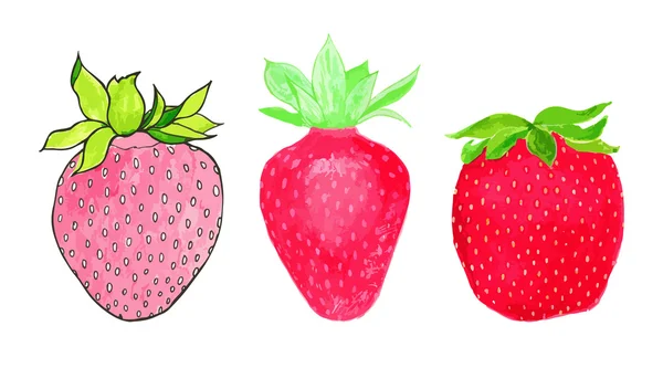 Strawberries. Hand-drawn berries. Real watercolor drawing. Vector illustration. — 스톡 벡터