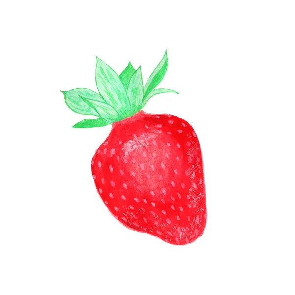 Strawberry. Hand-drawn berry. Real watercolor drawing. Vector illustration. — 스톡 벡터
