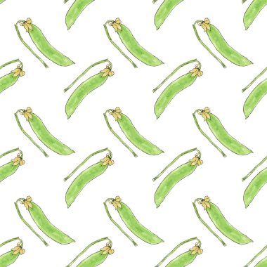 Green pea. Seamless pattern with vegetables. Hand-drawn background. Vector illustration.