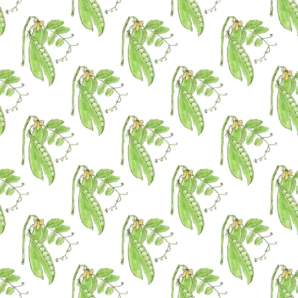 Green pea. Seamless pattern with vegetables. Hand-drawn background. Vector illustration. — ストックベクタ