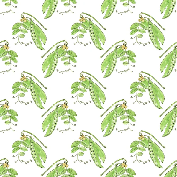 Green pea. Seamless pattern with vegetables. Hand-drawn background. Vector illustration. — Wektor stockowy