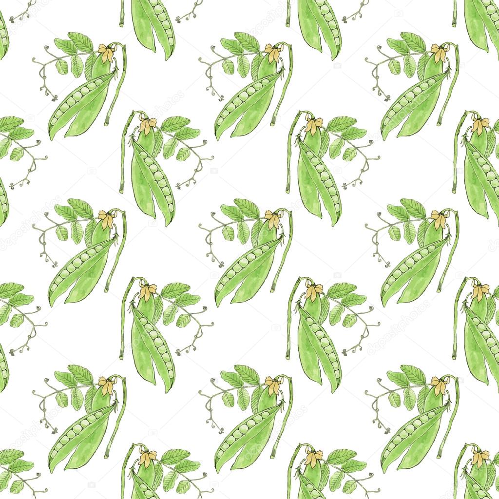 Green pea. Seamless pattern with vegetables. Hand-drawn background. Vector illustration.