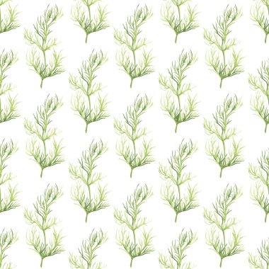 Seamless pattern with dill. Hand-drawn background. Vector illustration.