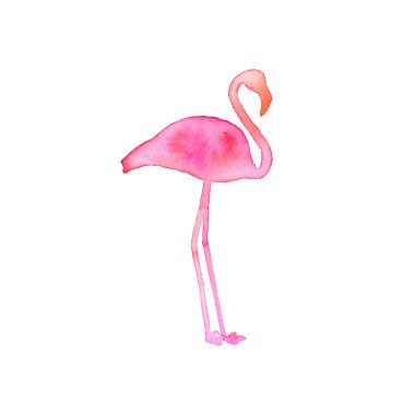 Flamingo. Hand-drawn silhouette of bird. Real watercolor drawing. Vector illustration.