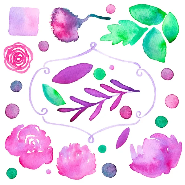 Flowers. Hand-drawn set of different flourishes, dots and frame. Real watercolor drawing. Vector illustration. — Stock Vector