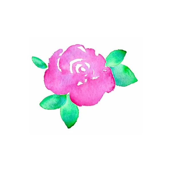 Rose. Hand-drawn flower. Real watercolor drawing. Vector illustration. — Stock Vector