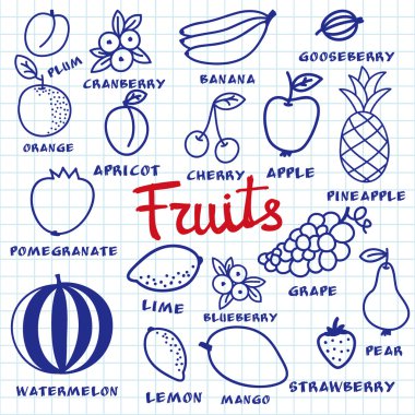 Fruit set. Hand-drawn different cartoon fruits made with blue pen on the notebook sheet. Doodle drawing.