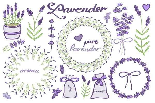 Lavanda pronta. Coleção de lavandula de desenho animado desenhada à mão - flores, caligrafia, elementos florais. Desenho de doodle . — Vetor de Stock