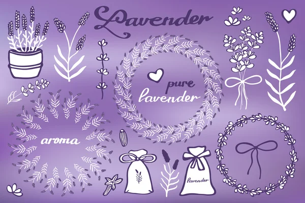 Set de lavanda. Colección de dibujos animados lavandula dibujado a mano flores, caligrafía, elementos florales. Dibujo de Doodle . — Vector de stock