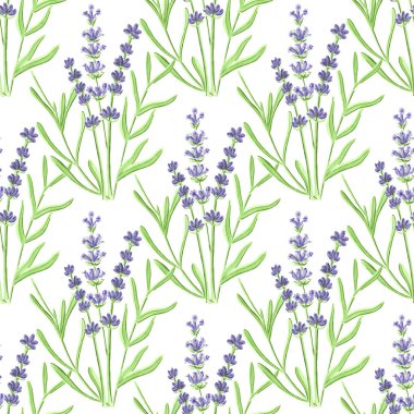 Lavender. Seamless pattern with flowers. Hand-drawn original floral background.