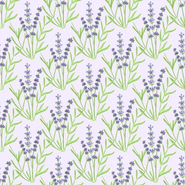 Lavender. Seamless pattern with flowers. Hand-drawn original floral background.