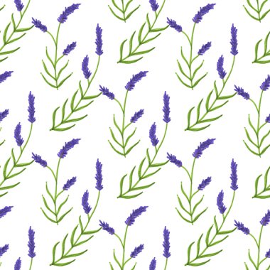 Lavender. Seamless pattern with flowers. Hand-drawn original floral background.