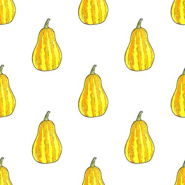 Balkabağı. Cadılar Bayramı ve Şükran günü Tema. Kabak ile Seamless modeli. Çizilmiş arka plan.