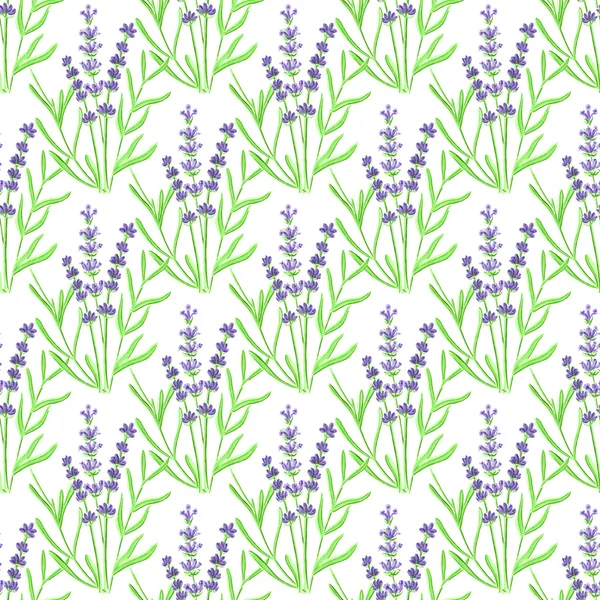 Lavender. Seamless pattern with flowers. Hand-drawn original floral background. — Zdjęcie stockowe