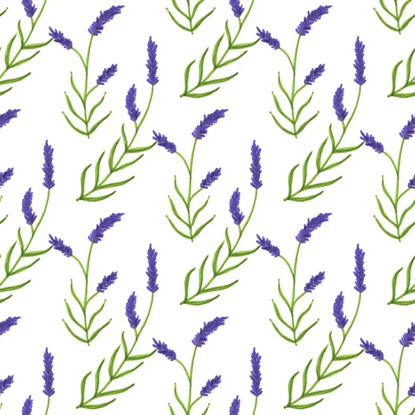 Lavender. Seamless pattern with flowers. Hand-drawn original floral background. — Stockfoto