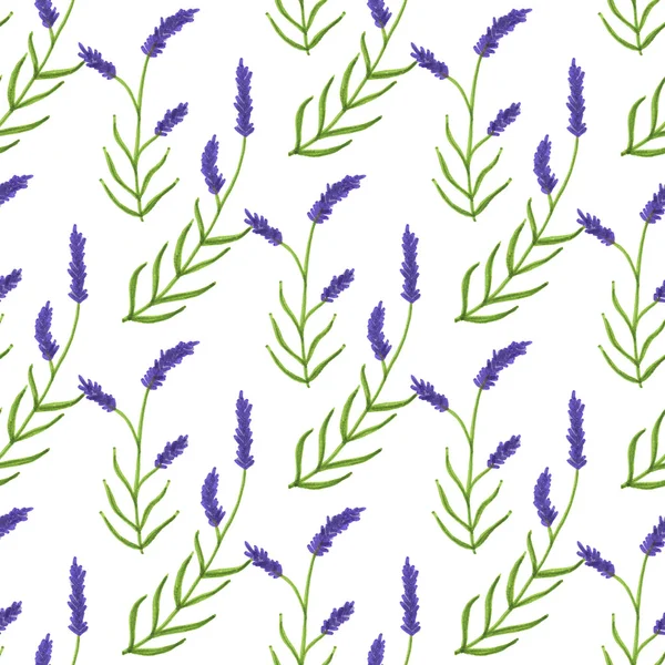 Lavanda. Patrón sin costuras con flores. Fondo floral original dibujado a mano . — Foto de Stock