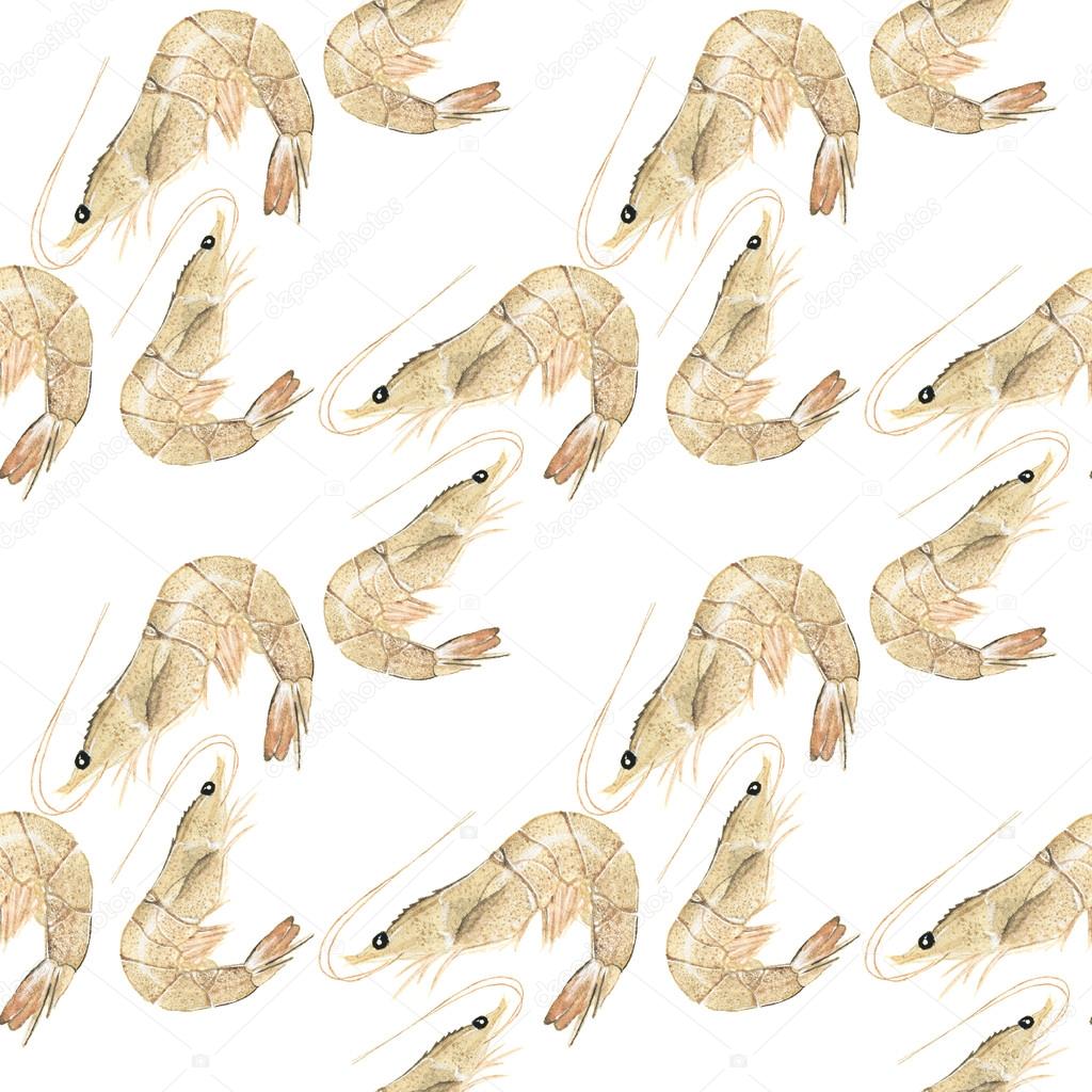 Prawn or shrimp - seafood and marine cuisine. Seamless watercolor pattern with prawns