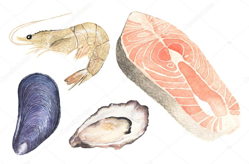 Seafood. Set of watercolor oyster, mussel, salmon steak and sea prawn on the white background.