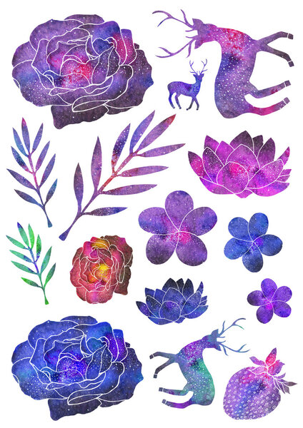 Set of different plants, flowers and animals.  Hand-drawn cosmic or galaxy elements.