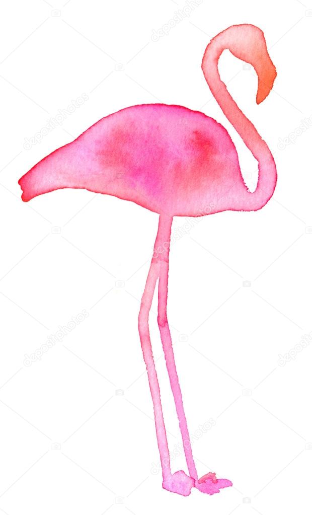 Pink flamingo. Hand drawn exotic bird silhouette