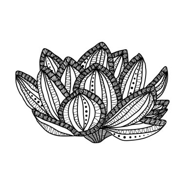 Lotus. Çizilmiş sihirli çiçek el - anti Boyama Page beyaz arka planda, zentangle tarzı illüstrasyon izole yüksek ayrıntılarla yetişkin için stres.