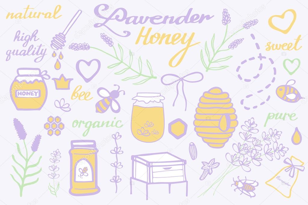 Lavender honey set. Hand-drawn cartoon collection - flowers, jars, calligraphy, floral elements. Doodle drawing.