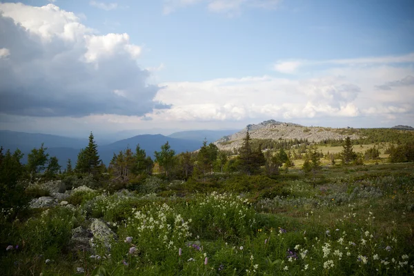 Bosque de Mointain en Rusia —  Fotos de Stock