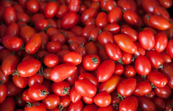 Frische rohe Tomaten — Stockfoto
