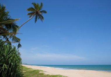 tropikal okyanus plaj