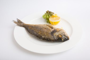 Bütün dorado balık ızgara