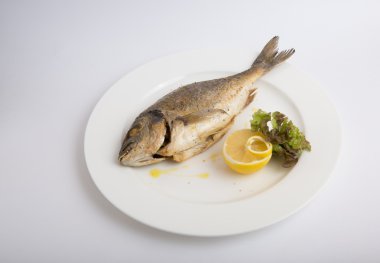 Bütün dorado balık ızgara