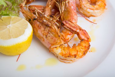 taze ızgara karides