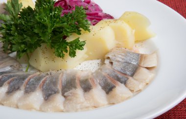 Taze Marine ringa balığı