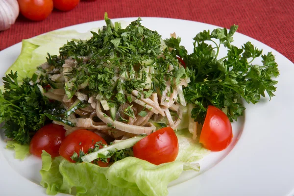 Asiatischer Salat mit Fleisch — Stockfoto