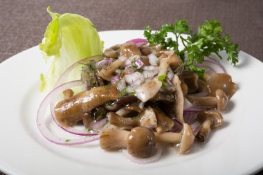 Salamura mantar salatası