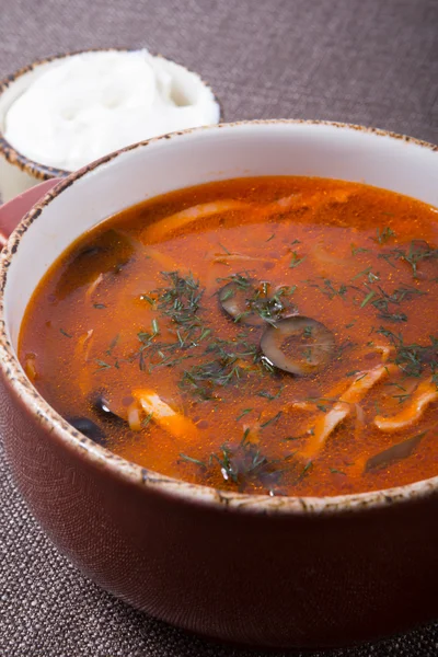 Русский суп со сметаной — стоковое фото