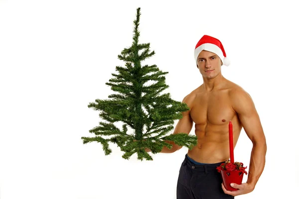 Atletic Santa Claus poses with christmas tree — Stock Photo, Image