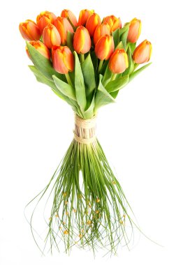 taze Lale buketi