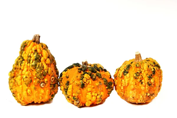 Three orange pumpkins — Stock Photo, Image