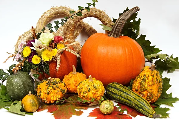 Decoration with pumpkins and flowers — Stock Photo, Image