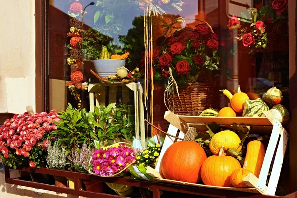 Vitrin çiçek ve kabaklar