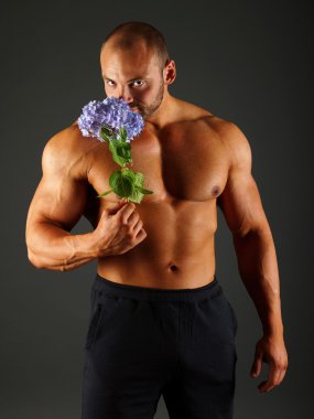 Adale adam mavi ortanca tutar