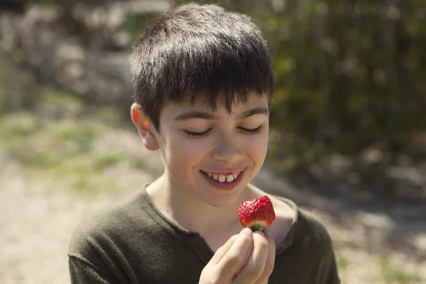 Çilek yeme bir çocuk