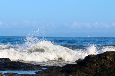 Okyanus dalgaları Kosta Rika