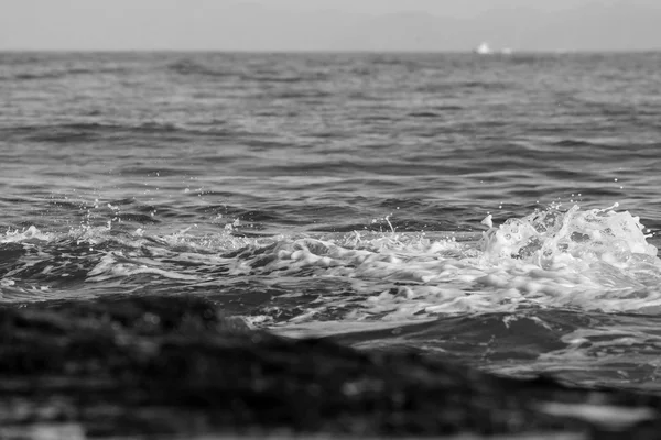 Petites vagues Offshore — Photo