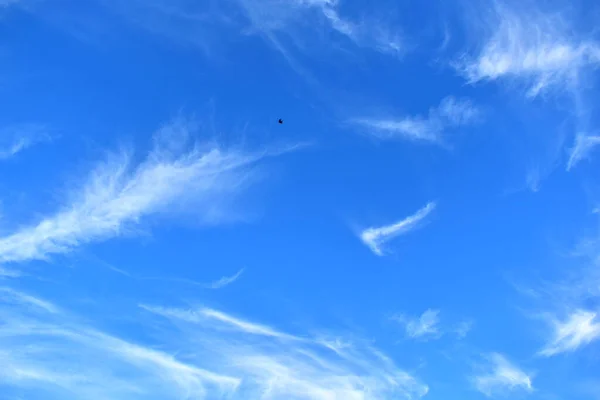 Blauwe Lucht Met Witte Gevederde Wolken Een Vliegende Vogel Erin — Stockfoto