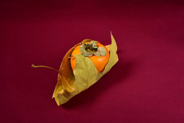 Persimmon dans les bras d'une feuille d'érable sèche d'automne. — Photo