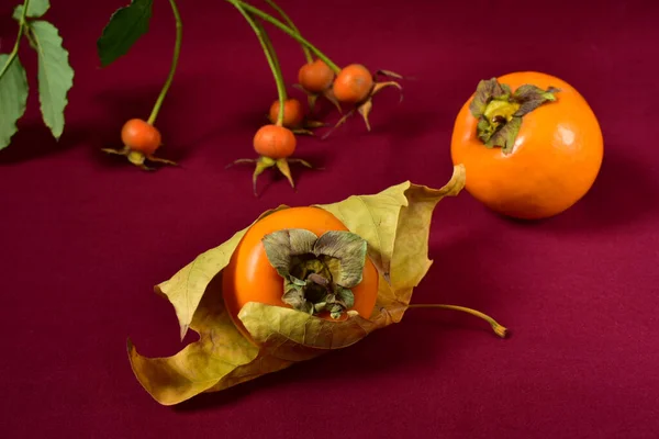 Persimmon, feuille d'érable jaune et fruits de l'églantier sur fond bordeaux. — Photo