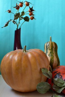 Farklı şekillerde ve renklerde üç balkabağı ve turkuaz arka planda bir vazoda bir gül ağacı dalı..